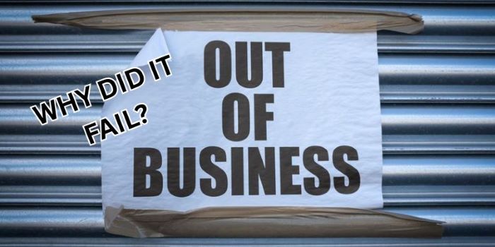Franchise Failure Rate
