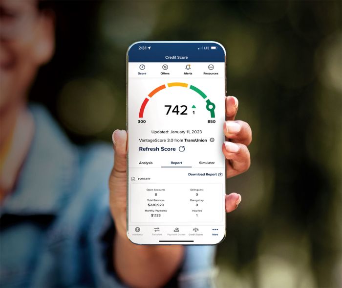 Credit Score On Phone