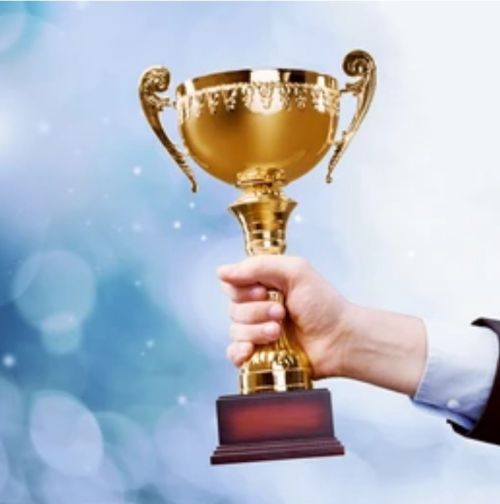 Best in Class What Are The Best Franchises To Buy Into