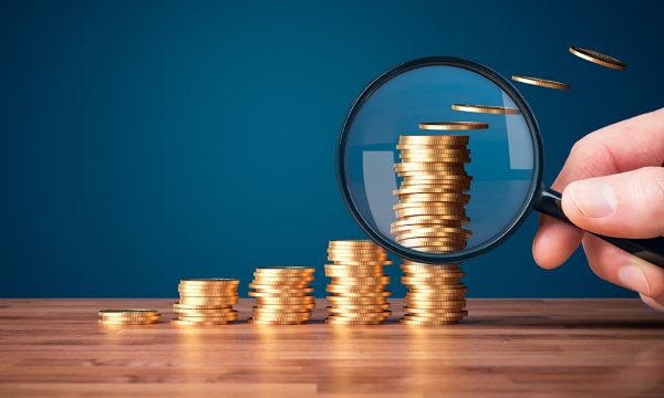 What are the costs involved in purchasing and operating a franchise