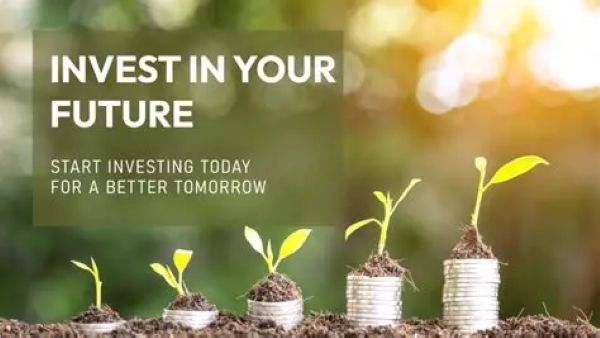 Investment Guide