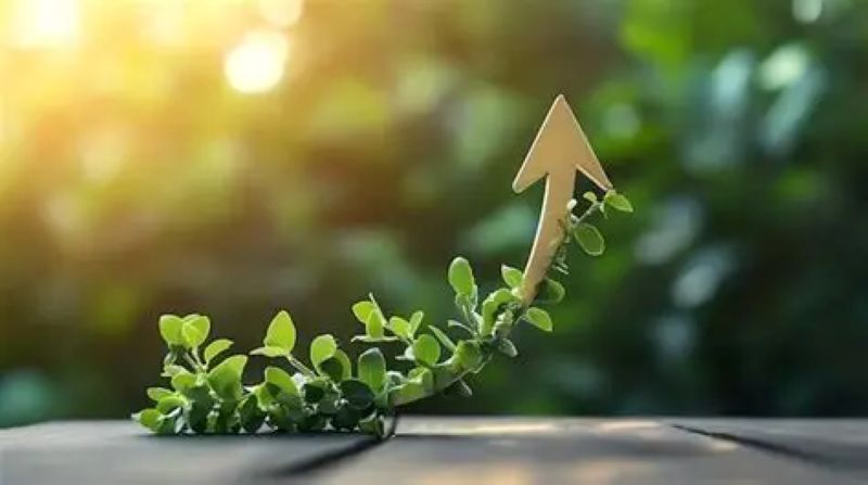 Turning Experience into Growth When You Start a Franchise