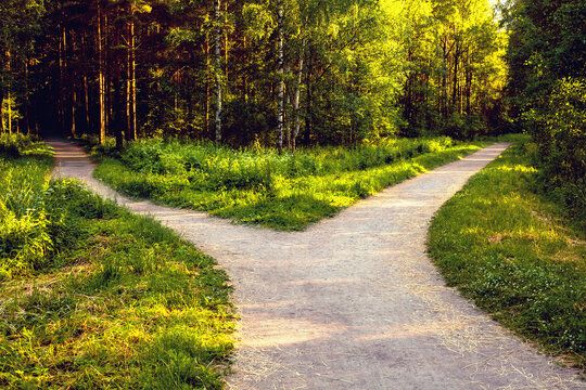 Two Paths